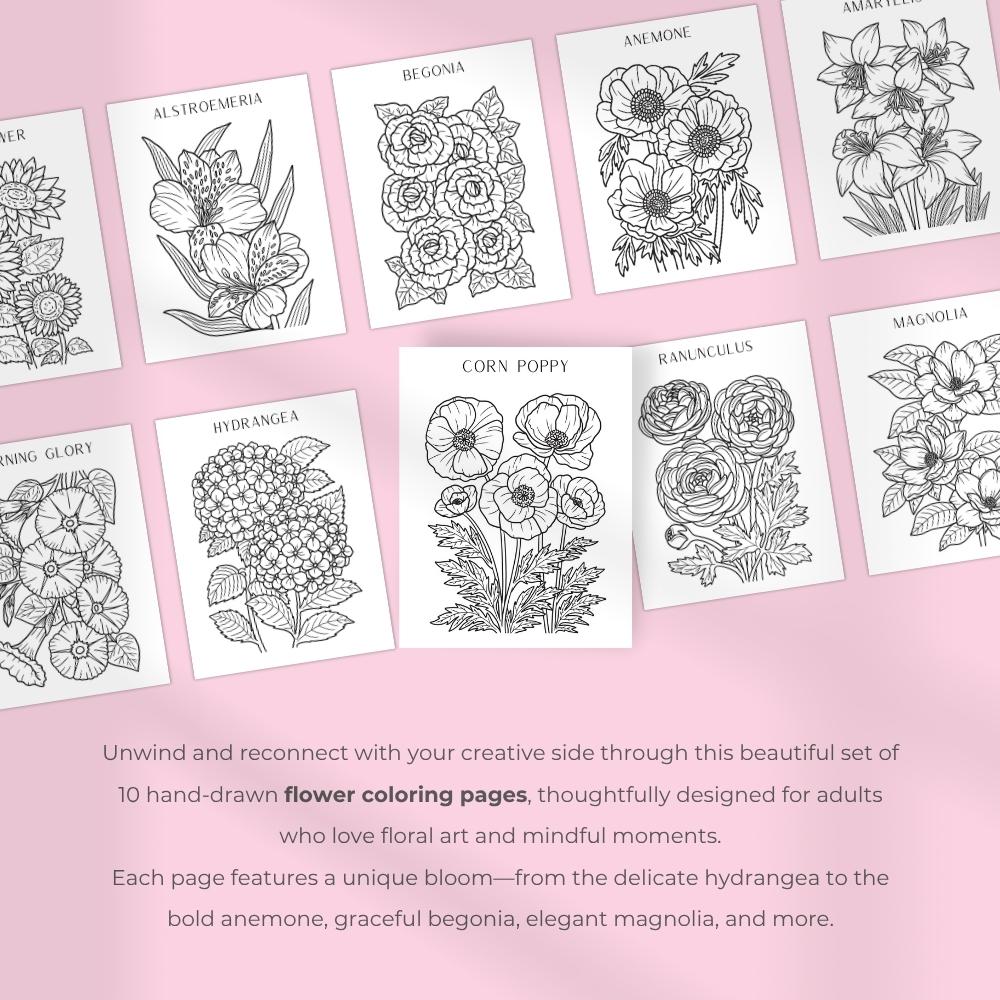 https://printypals-public-production.s3.us-east-1.amazonaws.com/products/19_Flower Coloring Pages - Sets of 18 FREE/7699b599-9348-4614-a23f-dab48eacdede_2.jpg