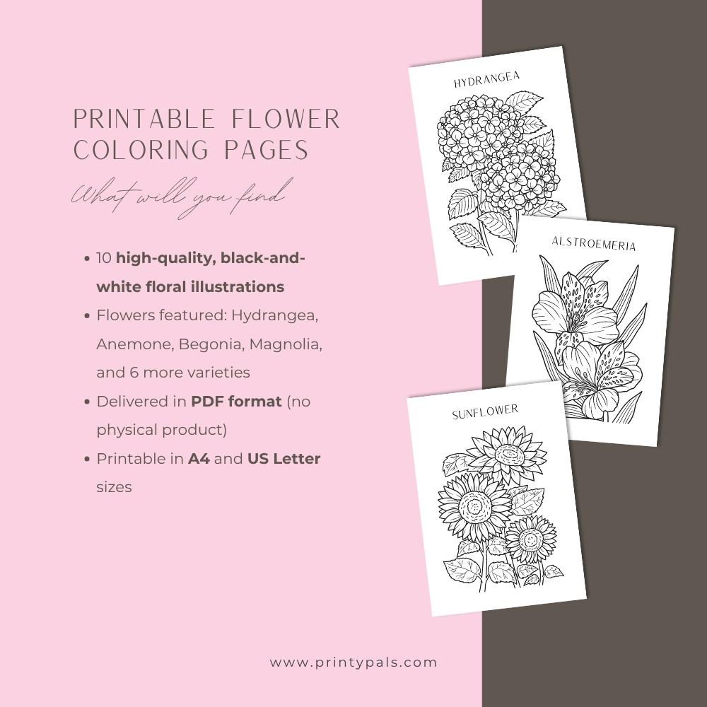 https://printypals-public-production.s3.us-east-1.amazonaws.com/products/19_Flower Coloring Pages - Sets of 18 FREE/c17ed371-b821-4b9a-93fb-570c6280ab32_3.jpg